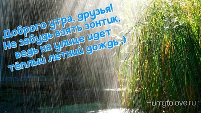 Фото утреннего летнего дождливого утра: скачать бесплатно в хорошем качестве.