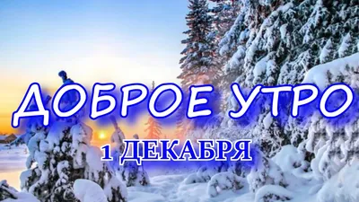 Картинка доброе утро первый день зимы в Full HD