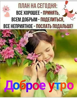 Новые изображения Доброе утро с позитивом для скачивания