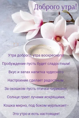 Новые фото Доброе утро с позитивом для скачивания