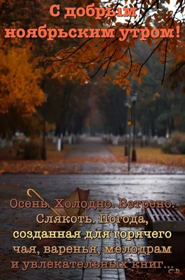 Осеннее утро: время для созерцания и благодарности