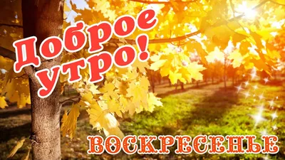 Фото Доброе утро! Осенние узоры