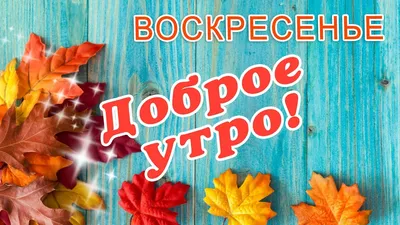 Утренние снимки: воскресенье осенью