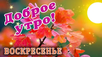 Картинки доброе утро весеннего воскресенья - новое изображение в HD