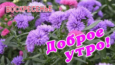 Весеннее утро полно нежности