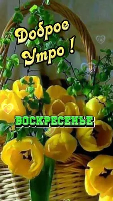 Воскресное утро с весенним настроением