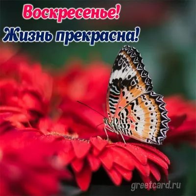 Весенний пейзаж пробуждает утро