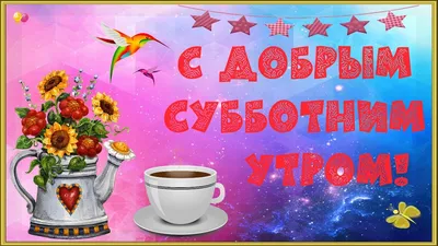 Новые фотографии для утреннего просмотра