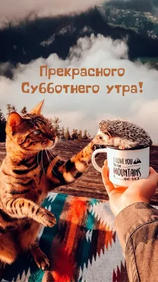 Утренние моменты, чтобы ощутить красоту.