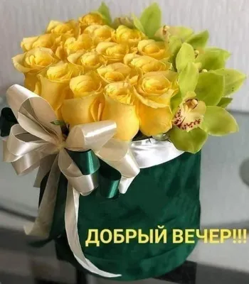 Фото в формате WebP для вечернего отдыха