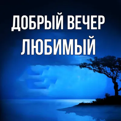 Картинки добрый вечер любимый: качественные фото для скачивания в формате JPG