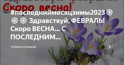 Фотоальбом февраля: встречаем весну