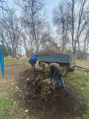 Фотографии февраля: скоро весна