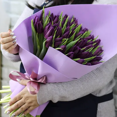 Картинки фиолетовые тюльпаны  фото