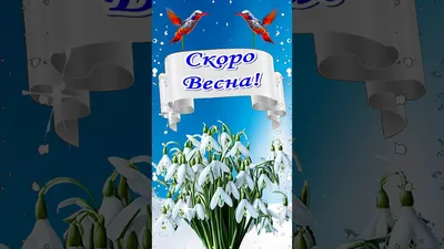 Фотки весны с цветущими деревьями