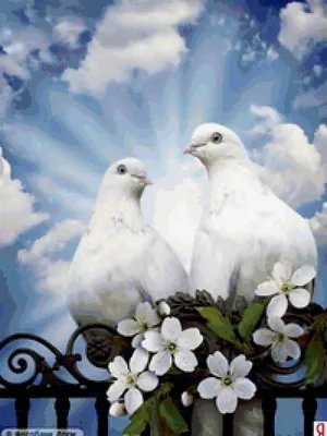 Любовь в воздухе: романтические фото голубей