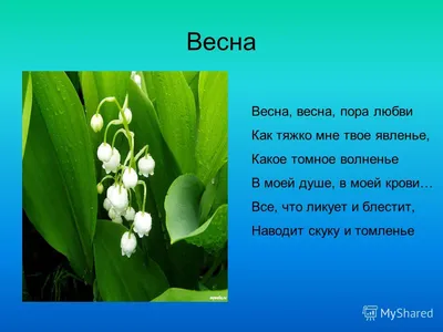 Фотографии весны: яркие краски природы