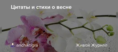 Весенние стихи: весенние вдохновения