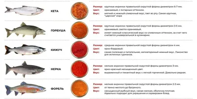 Красная икра: великолепие под водой