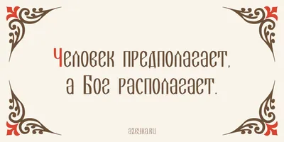 Визуальные интерпретации пословиц о добре: фотографии, вдохновленные добротой