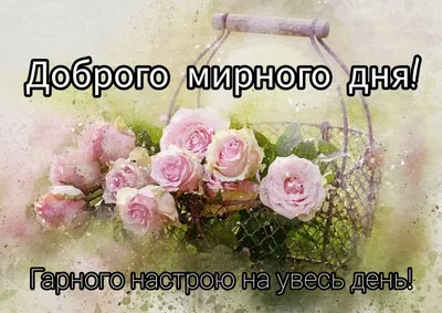 Фотки для хорошего настроения