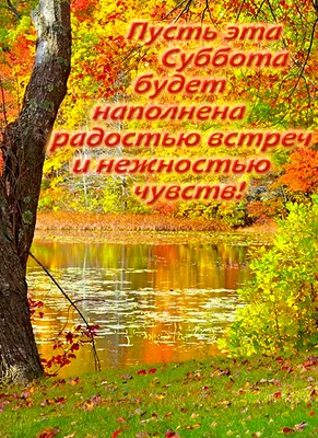 Фото субботы: уют и тепло осеннего времени года.