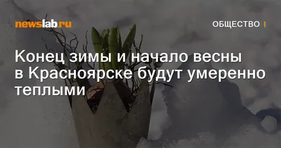 Фото: весенние изображения для вашего проекта