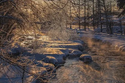 Прекрасные фото, отражающие смену сезонов