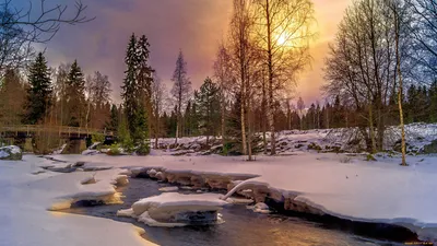 Фотографии, отражающие красоту весеннего пробуждения