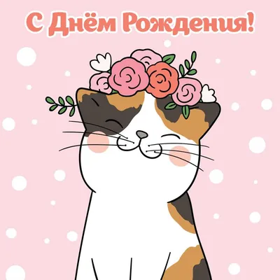 Котята с надписью: смешные и умные