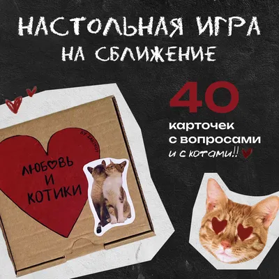 Котики и любовь: нежные моменты на фото