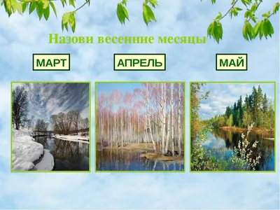 Изображения в формате JPG, PNG, WebP (Март)