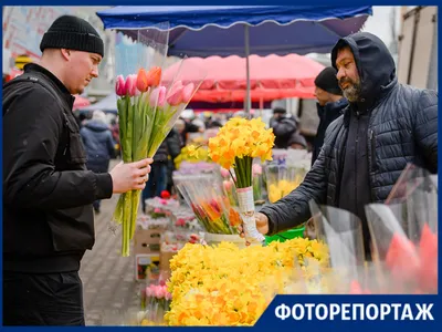 Эмоциональные фотографии мимозы к 8 марта: вдохновляющие образы весны.