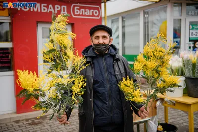 Фото мимозы к 8 марта: нежность и красота в каждом кадре.