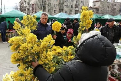 Восхитительные снимки мимоз на Международный женский день