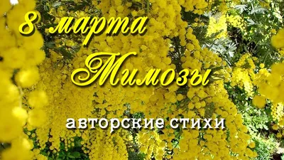 Картинка мимозы 8 марта в Full HD