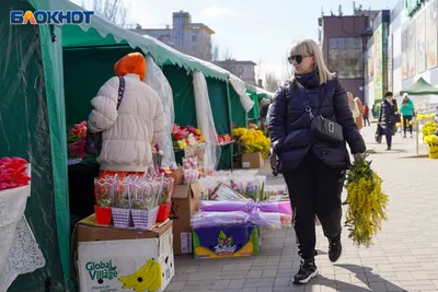 Фото на 8 марта: лучшие картинки в хорошем качестве