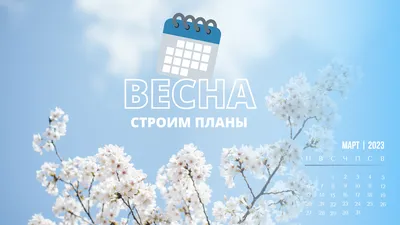 Новые изображения весенней природы для обложки