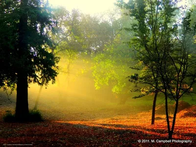 Утренние фотографии - скачать бесплатно в хорошем качестве, форматы PNG, JPG