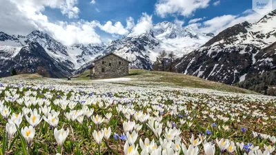 Весенние фотографии в HD качестве