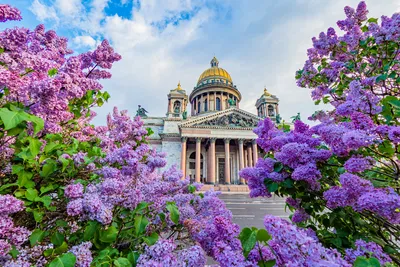 Фото весны 2024 года