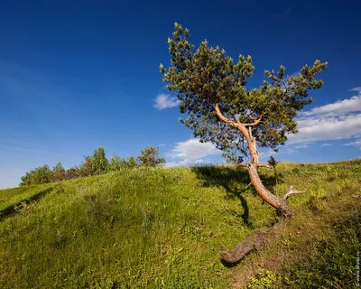 Скачать фото весны и лета в формате PNG