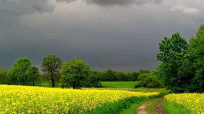 Фотографии природы в сезон весна-лето