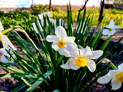 Весенние пейзажи: фото для вдохновения