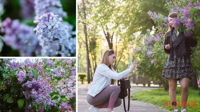 Весенний марафон: 30 фотографий, чтобы пробежать вместе с природой