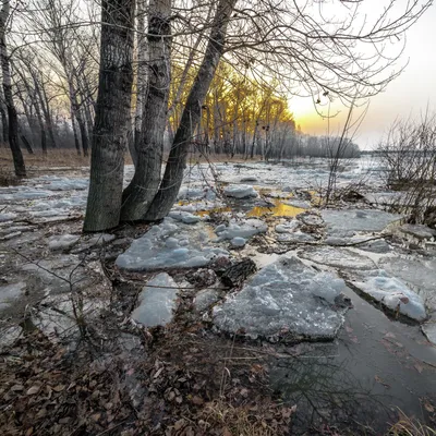 Фото весны: красивые картинки для скачивания