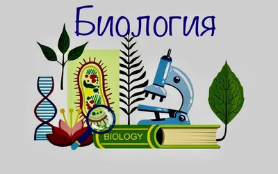 Картинки о весне для школьников: полезная информация о весенних изображениях