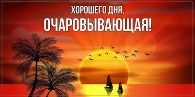 Фотоотчет о захватывающем дне