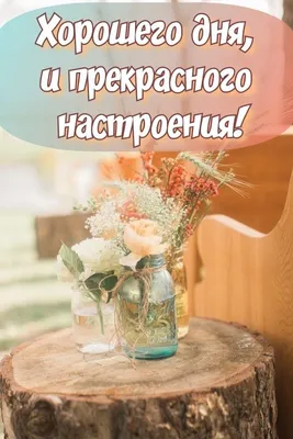 Картинки офигенного дня: новое изображение в формате JPG, PNG, WebP