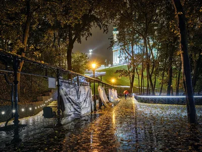 Фотографии осенних листьев под дождем: вдохновение для фотографов